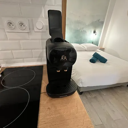 Le Globe Nantais Apartament *