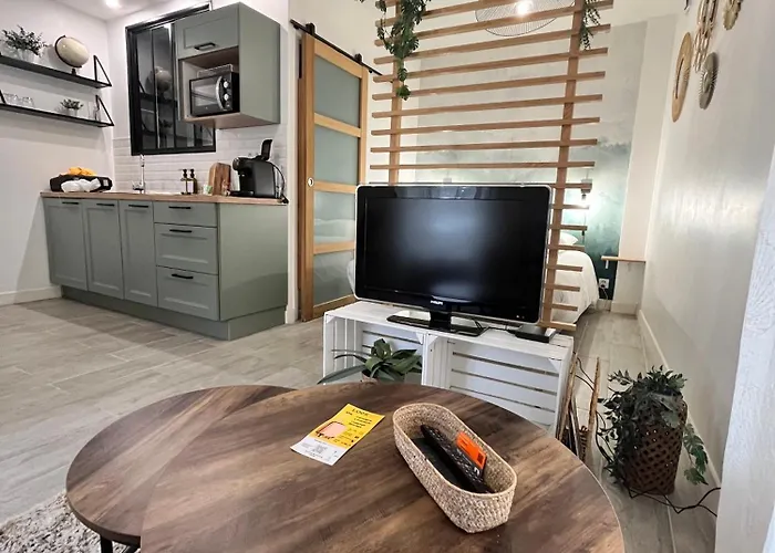 Apartament Le Globe Nantais