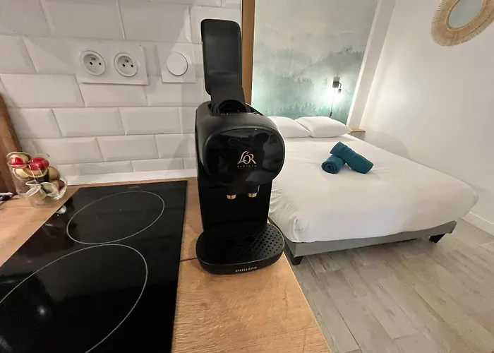 Le Globe Nantais Apartment *