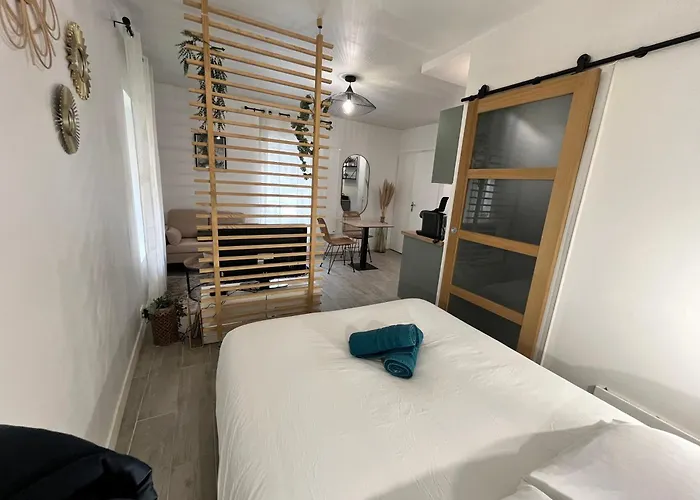 Le Globe Nantais Apartment *